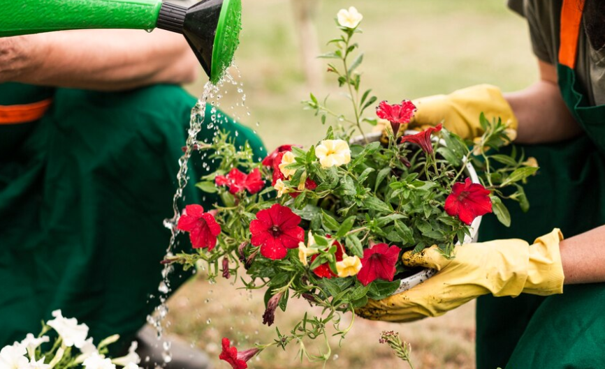 Urban Lawn Sprinklers 